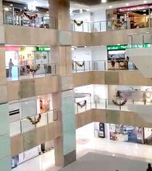 Grand Hyatt Singapore (D9), Shop House #451030471